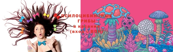 стафф Волоколамск